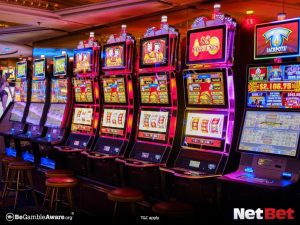 ovopg - Plataforma Bet Login